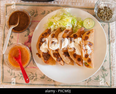 Mexikanische Tacos dorados Nur scharfe Salsa Kopfsalat und Sahne hinzufügen, die Zutaten Stockfoto