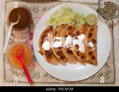 Mexikanische Tacos dorados Nur scharfe Salsa Kopfsalat und Sahne hinzufügen, die Zutaten Stockfoto