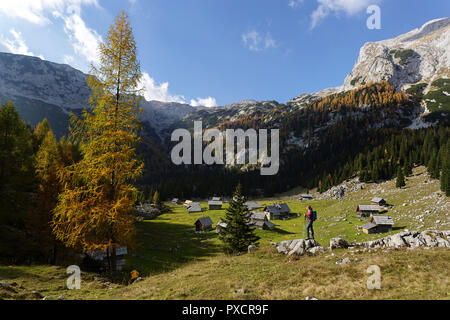 Frau standingon bunte Bergwiese und Holzhütten im Herbst, Kinder spielen auf der Wiese, Slowenien, Stockfoto