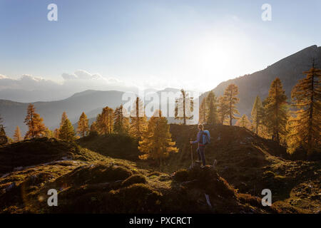 Frau, die auf einem Hügel am Krstenica Wiese holding Wanderstöcke im goldenen Licht bei Sonnenuntergang, die Julischen Alpen, Slowenien Stockfoto