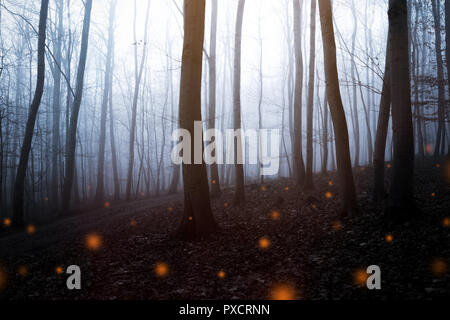 Mystische Licht in den dunklen Wald mit Glühwürmchen Stockfoto