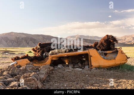 Schafwolle auf ein Auto drehte sich in Bulunkul Dorf, Bulunkul, Pamir Highway, Gorno Badakhshan, Tadschikistan Stockfoto