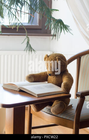 Teddy Bär liest ein Buch in der Bibliothek - Studium Szene Stockfoto