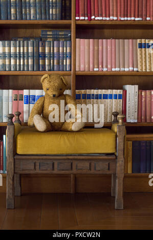 Teddy Bär sitzt in der Bibliothek - Schöne fantasy Szene Stockfoto