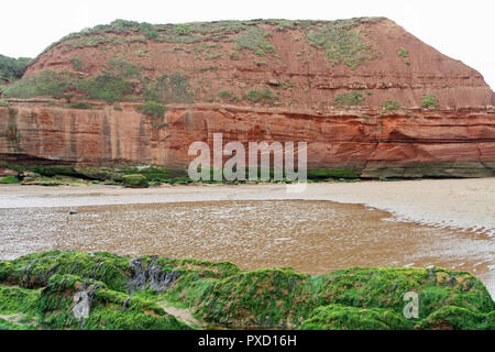 Trias wüste Sandsteine und Tonsteine, Orcombe Point, Exmouth, Devon, England, Großbritannien Stockfoto