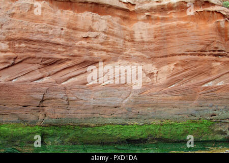 Trias wüste Sandsteine und Tonsteine, Orcombe Point, Exmouth, Devon, England, Großbritannien Stockfoto