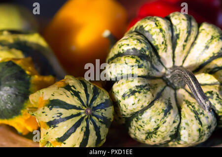 Nahaufnahme von Grün, Weiß und Gelb dekorative Kürbisse mit roten und gelben Paprika im Hintergrund Stockfoto