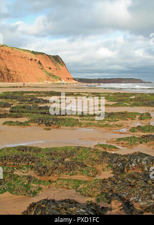 Ebbe am Strand von Orcombe Point, Exmouth, Devon, England, Großbritannien Stockfoto