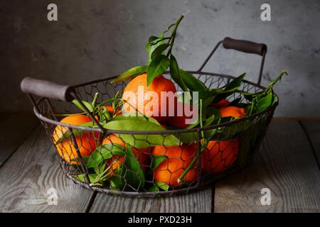 Tangerinen (Orangen, Mandarinen, Clementinen, Zitrusfrüchte) mit Blättern im Warenkorb auf grauem Hintergrund. Mandarinen mit Blättern in weiß Warenkorb Auf Stockfoto