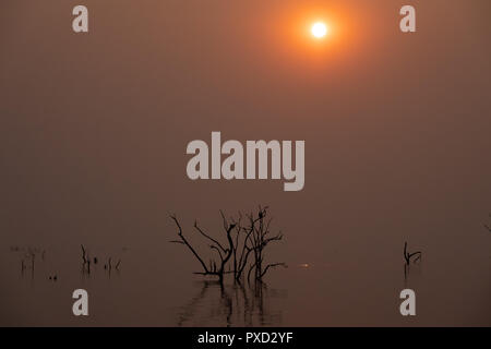 Sonnenuntergang am Lake Kariba, Simbabwe Stockfoto