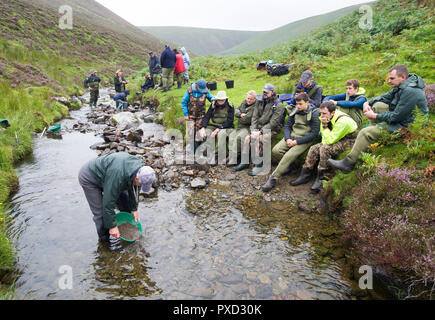 Goldwaschen Kurs für Besucher und Touristen auf dem Wasser in der Nähe von Mennock Wanlockhead, Schottland. Stockfoto