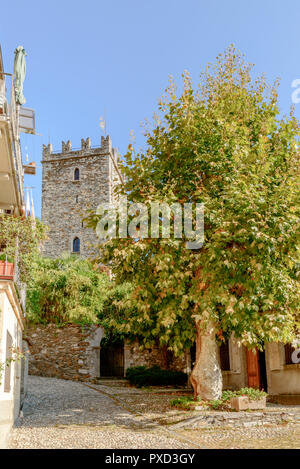 Kleiner Platz mit maulbeerfeigenbaum und, im Hintergrund, Stein Turm von Rezzonico mittelalterliche Burg, im Hellen fällt Licht in San Siro, Comer See, Italien geschossen Stockfoto