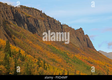 Autumn Fall colours along the Glenn Highway Alaska USA Stockfoto
