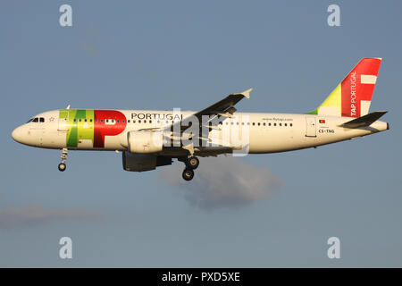 TAP Air Portugal A320-200 mit Registrierung CS-TNG auf kurze letzte für die Piste 01 des Flughafens Brüssel. Stockfoto