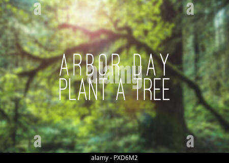 Arbor Day Pflanze einen Baum mockup mit Wald- oder Bäume oder grün Natur verschwommenen Hintergrund. Holiday event Konzept. Stockfoto
