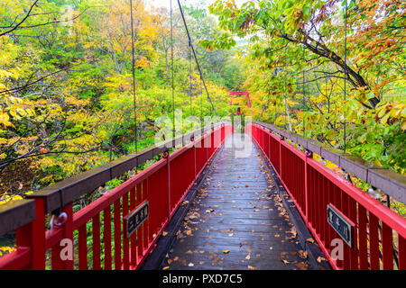 Jozankei Futami Suspension Bridge und Herbst Ahorn Wald in Jozankei Onsen, Die beliebteste Touristenattraktion auf Hokkaido. Japan Stockfoto