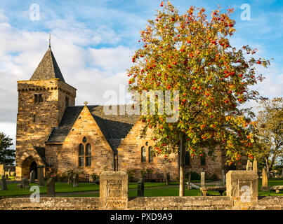 Aberlady Parish Church beleuchtet von der Abendsonne mit blühender Eberesche) Pomes oder Beeren im Herbst, East Lothian, Schottland, Großbritannien Stockfoto