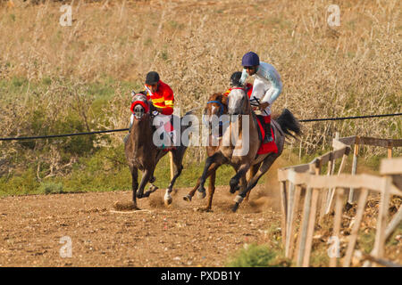 Arabische Pferd in einem Rennen mit Beduinen Reiter Stockfoto