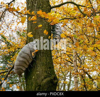 Asseln Skulptur auf Herbst Baum, Butterdean Holz, Woodland Trust, East Lothian, Schottland, Großbritannien Stockfoto