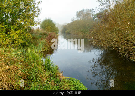 Fluss Avon in Salisbury Wiltshire Großbritannien auf einem nebligen Morgen Stockfoto