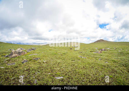 Grüne Tundra mit negativen Raum entlang der Beartooth Highway in Montana Stockfoto