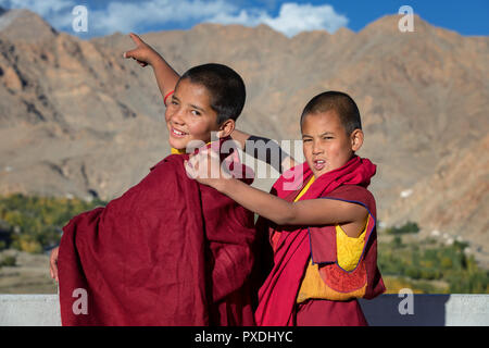 Für junge Mönche, die die Berge beobachten, Phyang Kloster, Phyang (oder Phiyang) Gompa, Ladakh, Indien Stockfoto