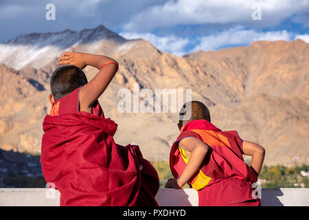 Für junge Mönche, die die Berge beobachten, Phyang Kloster, Phyang (oder Phiyang) Gompa, Ladakh, Indien Stockfoto