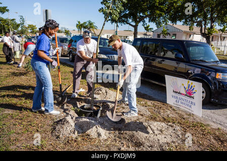 Miami Florida, Liberty City, Square, öffentliche Wohnhäuser, Nachbarschaft, Hands-on-HandsAuf Miami, Freiwillige Freiwillige ehrenamtlich Arbeit Arbeiter, arbeiten tog Stockfoto