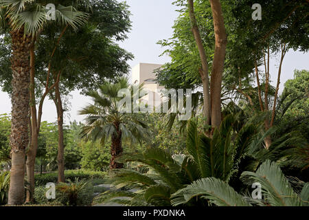 Doha/Katar - Oktober 10, 2018: Die markante Form des Museum für Islamische Kunst in Doha, Katar durch Laub in den angrenzenden Park gesehen. Stockfoto