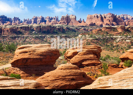 Die Nadeln im Canyonlands National Park, Utah. Stockfoto