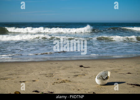 Ofir Strand in Portugal, Surfspot. Problem der Verschmutzung der Strände durch den Einsatz von Kunststoffen und schlechte Entsorgung. Stockfoto