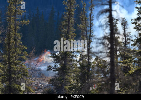 Ein wildfire Brennen in einem Waldgebiet in Jasper National Park, Alberta, Kanada. Stockfoto