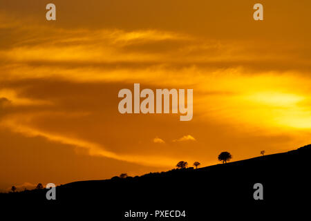 Spektakulär und schönen Sonnenuntergang über Moel-y-Parc im Bereich Clwydian Hügel Hügel mit silouetted Baumgrenze auf dem Grat Stockfoto