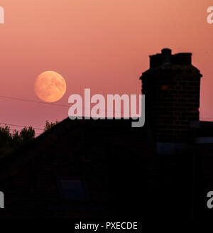 London, Großbritannien. 22 Okt, 2018. Herbst Mond steigt in klaren Himmel über London in rosa Himmel in der Abenddämmerung. Die 95% Waxing Gibbous Mond erstrahlt in bunten Himmel über Suburban Dächer in South West London. Credit: Malcolm Park/Alamy Leben Nachrichten. Stockfoto