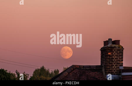 London, Großbritannien. 22 Okt, 2018. Herbst Mond steigt in klaren Himmel über London in rosa Himmel in der Abenddämmerung. Die 95% Waxing Gibbous Mond erstrahlt in bunten Himmel über Suburban Dächer in South West London. Credit: Malcolm Park/Alamy Leben Nachrichten. Stockfoto