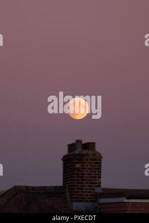 London, Großbritannien. 22 Okt, 2018. Herbst Mond steigt in klaren Himmel über London in rosa Himmel in der Abenddämmerung. Die 95% Waxing Gibbous Mond erstrahlt in bunten Himmel über Suburban Dächer in South West London. Credit: Malcolm Park/Alamy Leben Nachrichten. Stockfoto