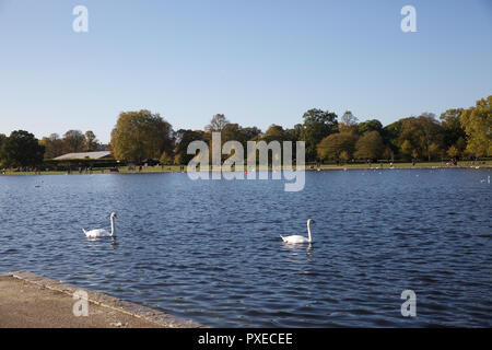 London, Großbritannien. 22 Okt, 2018. Menschen tauchen Sie ein in die herrlich warmen Herbst Sonnenschein in Kensington Gardens, London. Credit: Keith Larby/Alamy leben Nachrichten Stockfoto