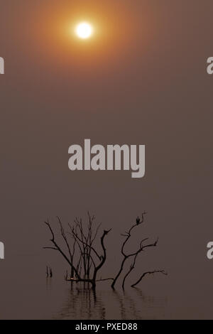 Sonnenuntergang am Lake Kariba, Simbabwe Stockfoto