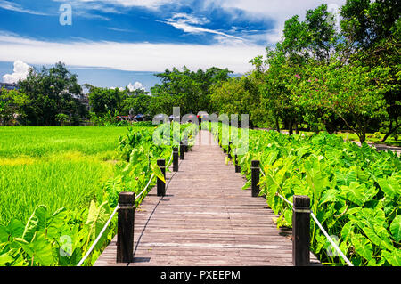 Die historischen Gebäude von Pingyao Diaolou in Zili Dorf in Pingyao Chinas in der Provinz Guangdong an einem sonnigen blauen Himmel. Stockfoto