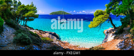 Beautifl Kastani Beach, azurblaues Meer und Pinien, Sporaden Island, Insel Skopelos, Griechenland. Stockfoto