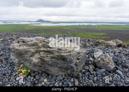 Panoramasicht auf den See Myvatn, Vulkane, und die Region von Hverfjall - Hverfell Vulkan creater in Krafla, die vulkanischen Gebiet in Myvarn, Island. Stockfoto