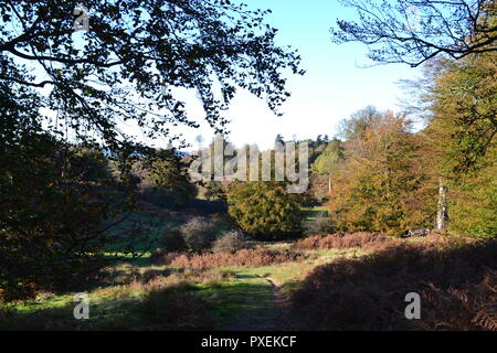 Herbst, Mitte Oktober 2018 Knole, Sevenoaks, Kent, England, UK. Schönes Wetter. Historisches Haus- und Parklandschaft. Durch Könige, Königinnen, Erzbischöfe Stockfoto