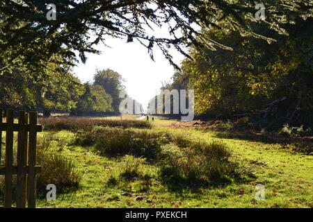 Herbst, Mitte Oktober 2018 Knole, Sevenoaks, Kent, England, UK. Schönes Wetter. Historisches Haus- und Parklandschaft. Durch Könige, Königinnen, Erzbischöfe Stockfoto