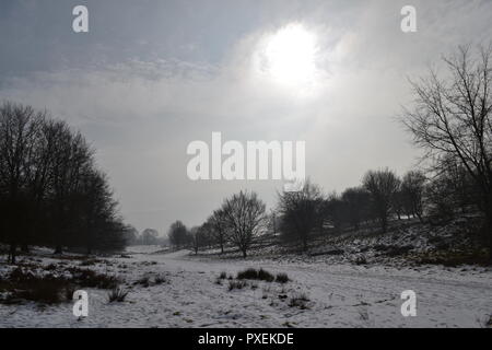 Der National Trust Knole Park, Sevenoaks, Kent, England, UK an einem verschneiten, nebligen Tag im März 2018. Kent Downs Gebiet von außergewöhnlicher natürlicher Schönheit. Stockfoto