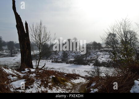 Der National Trust Knole Park, Sevenoaks, Kent, England, UK an einem verschneiten, nebligen Tag im März 2018. Kent Downs Gebiet von außergewöhnlicher natürlicher Schönheit. Stockfoto