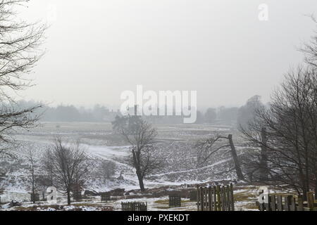 Der National Trust Knole Park, Sevenoaks, Kent, England, UK an einem verschneiten, nebligen Tag im März 2018. Kent Downs Gebiet von außergewöhnlicher natürlicher Schönheit. Stockfoto