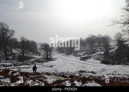 National Trust Knole Park, Sevenoaks, Kent, England an einem verschneiten, nebligen Tag im März. Ein furchtsames Silhouette eines Mannes, der in der Mitte der Strecke gibt ein unheimliches Gefühl Stockfoto