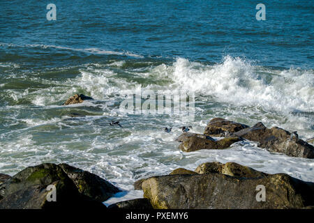 Ofir Beach in Portugal, Surf spot Stockfoto