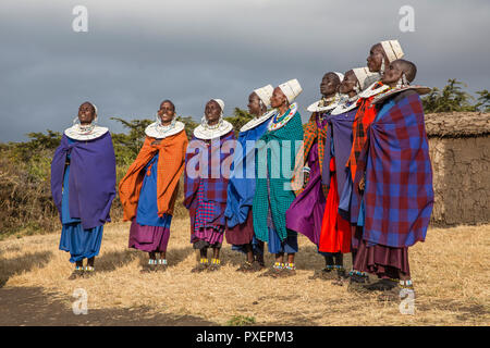 Maasai Zeremonie am Ngorongoro-Krater in Tansania Stockfoto