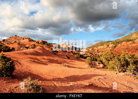 Wüste Anblick von Lukachukai Tal, einem Navajo land in Apache County, Arizona, USA, mit vielen Hügeln und Sträucher, Roter Sand und Steinen und einem bewölkten Himmel Stockfoto